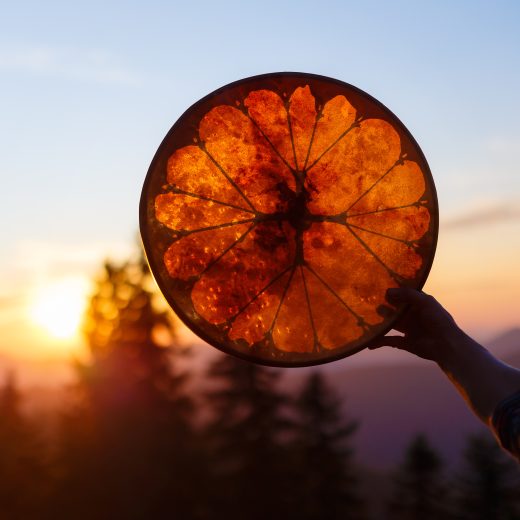 shaman frame drum in woman hand in the nature.